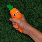 Stretchy Carrot image number 3