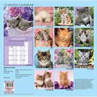 Cute Cats 2021 Calendar and Diary Set image number 2