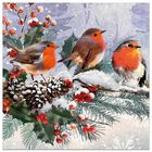 Premium Robin Family Christmas Cards: Pack of 10 image number 1