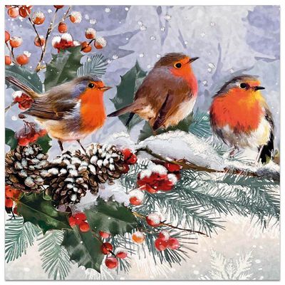 Premium Robin Family Christmas Cards: Pack of 10 image number 1