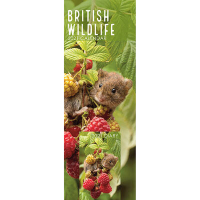 British Wildlife 2021 Slim Calendar and Diary Set From £0.50 | The Works