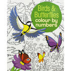 Birds & Butterflies Colour By Numbers image number 1