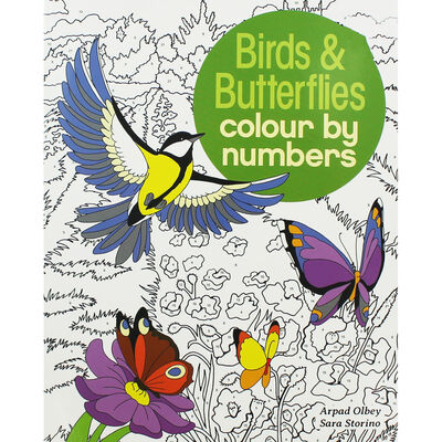 Birds & Butterflies Colour By Numbers image number 1