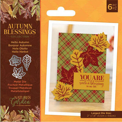 Crafter’s Companion Nature’s Garden Autumn Blessings Metal Die: Hello Autumn image number 1