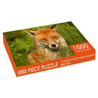 Amber Fox 1000 Piece Jigsaw Puzzle image number 1