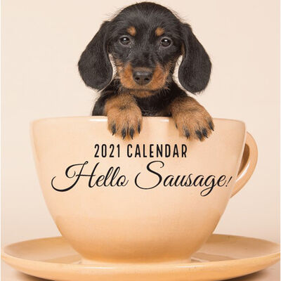 2021 Calendar: Hello Sausage image number 1