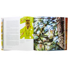 The Living Forest image number 2