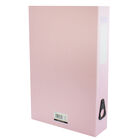 Pastel Pink Box File image number 2