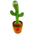 Dancing Cactus image number 2