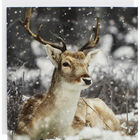 Stag Christmas Cards - Pack Of 10 image number 1