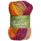 Hayfield Spirit Chunky: Casper Yarn 100g image number 1