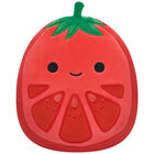 Squishmallows Plush: Ritter the Tomato image number 1