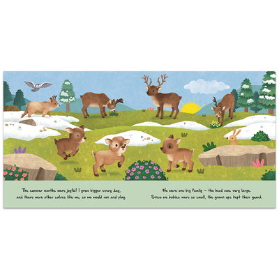 Little Reindeer image number 3