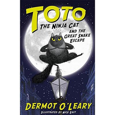 Toto the Ninja Cat and the Great Snake Escape: Book 1 image number 1
