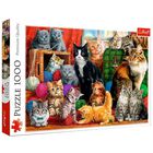 Feline Meeting 1000 Piece Jigsaw Puzzle image number 1