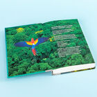 Earthshot: How to Save Our Planet image number 3