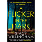 A Flicker in the Dark image number 1