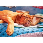 Delightful Dogs 3x500 Piece Jigsaw Puzzles image number 4