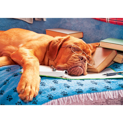 Delightful Dogs 3x500 Piece Jigsaw Puzzles image number 4