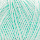 Baby Bonus DK: Baby Mint 100g image number 2