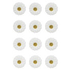 White Paper Flower Stickers - 12 Pack image number 2