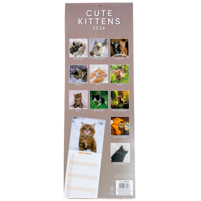 2026 Kittens Slim Calendar & Diary image number 3