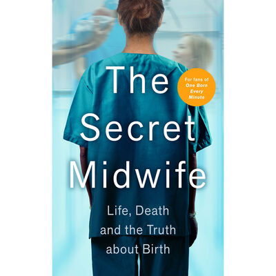 The Secret Midwife image number 1