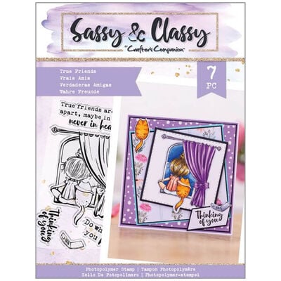 Crafter’s Companion Sassy & Classy Photopolymer Stamp Set: True Friends image number 1