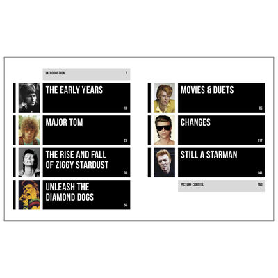 David Bowie Changes: A Life in Pictures 1947-2016 image number 2