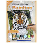 A4 Painting By Numbers Kit: Tiger in Hiding image number 1