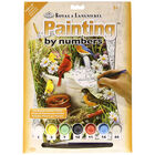 Garden Birds Paint By Numbers Set image number 1