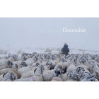 Celebrating the Seasons with the Yorkshire Shepherdess image number 3