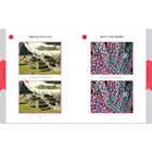 Spot the Difference Picture Puzzles image number 3