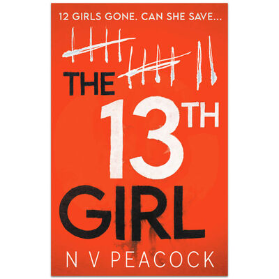 The 13th Girl image number 1