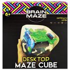 Brain Maze Desktop Maze Cube image number 1