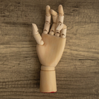 Crawford & Black Wooden Hand Manikin image number 2