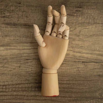 Crawford & Black Wooden Hand Manikin image number 2