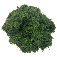Artificial Moss