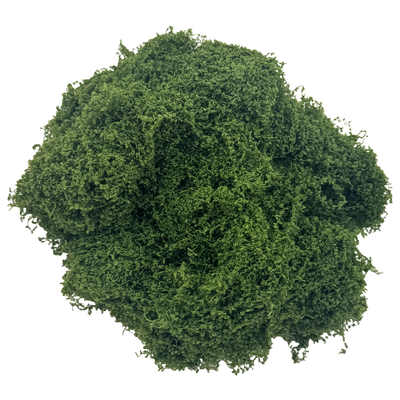 Artificial Moss image number 1