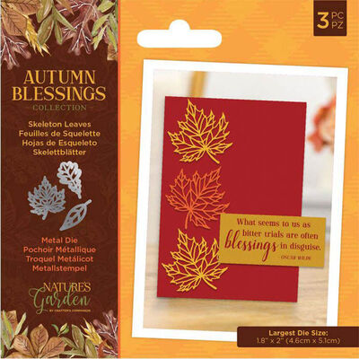 Crafter&rsquo;s Companion Nature&rsquo;s Garden Autumn Blessings Metal Die: Skeleton Leaves image number 1