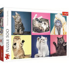 Kittens 500 Piece Jigsaw Puzzle image number 1