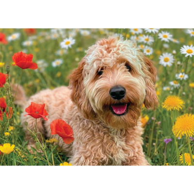 Delightful Dogs 3x500 Piece Jigsaw Puzzles image number 2
