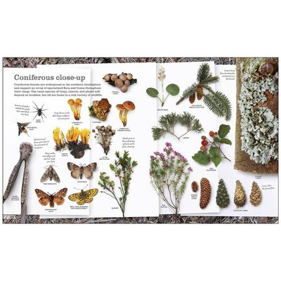 Chris Packham's Nature Handbook image number 2