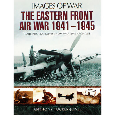 The Eastern Front Air War 1941-1945 image number 1