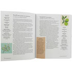 Holistic Aromatherapy image number 2