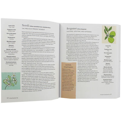 Holistic Aromatherapy image number 2