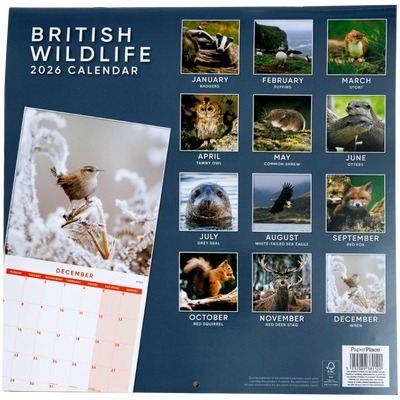 British Wildlife 2026 Calendar & Diary Set image number 4