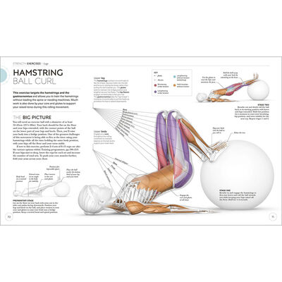 Science of Strength Training image number 2