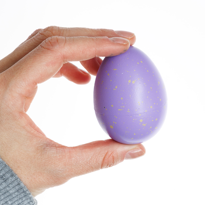 Growing Hatching Egg image number 3