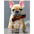 Cute Puppies Notecards image number 1